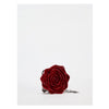 Zara rose clutch