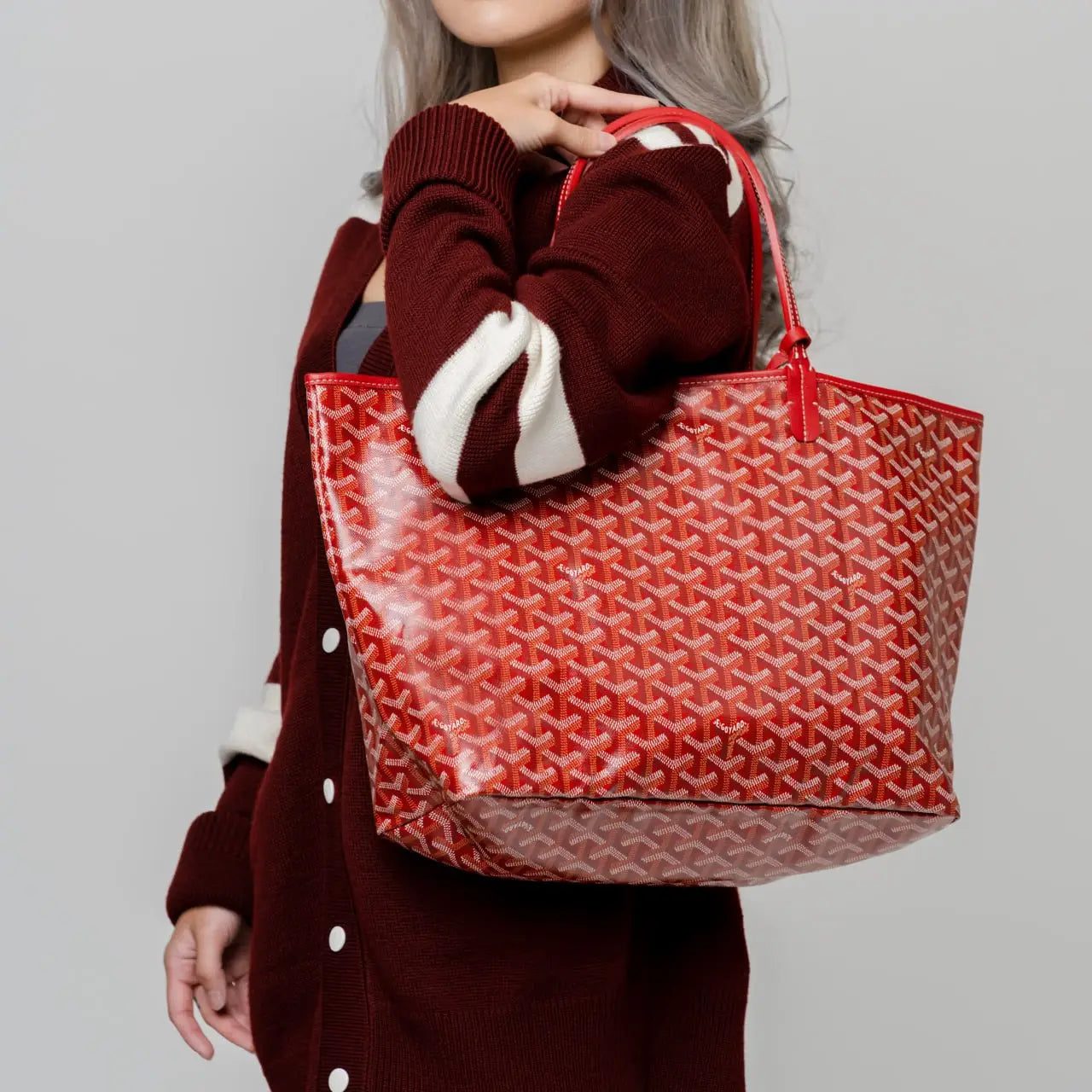 Goyard Anjou Tote reversible