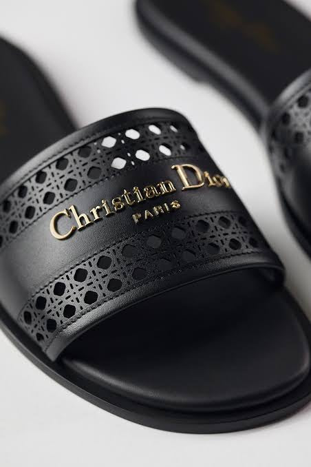 Dior D-line slides