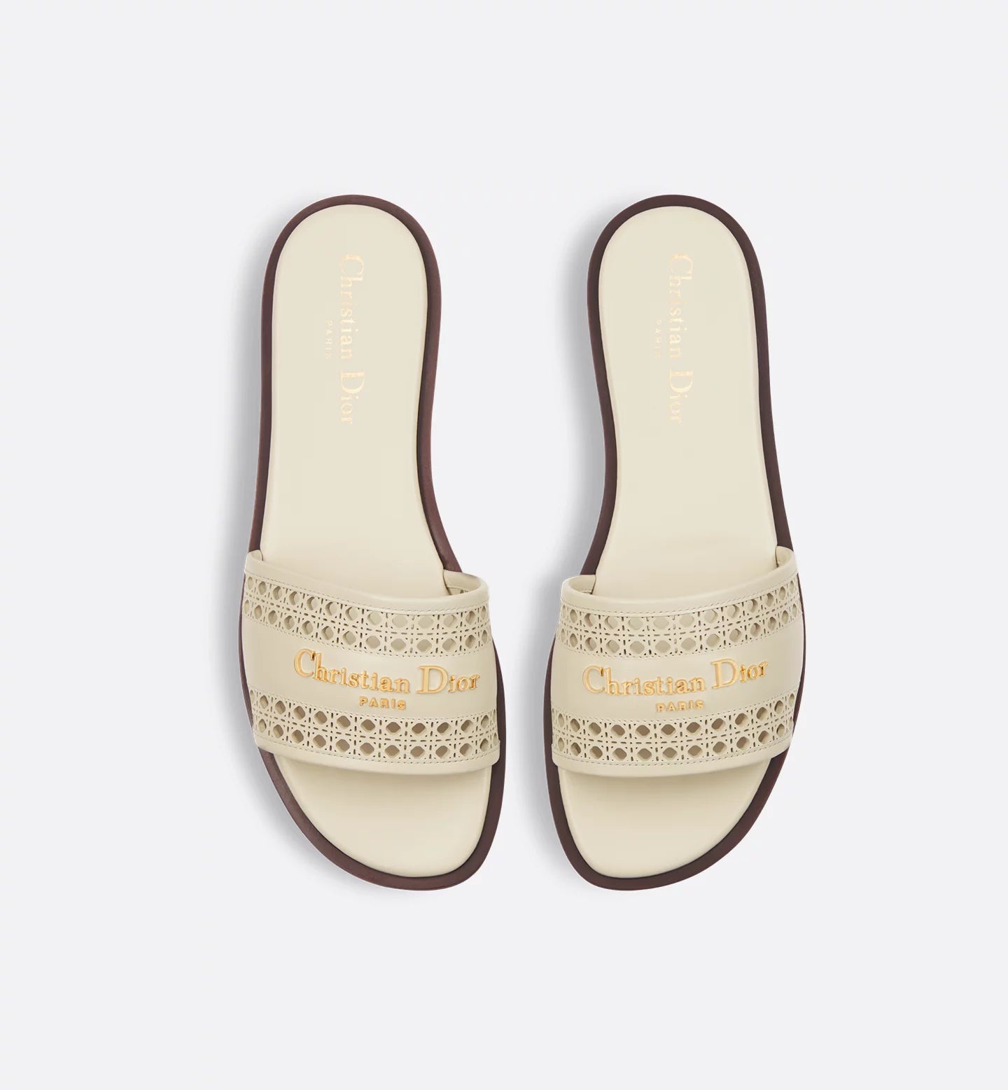Dior D-line slides