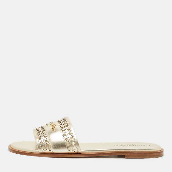 Dior D-line slides