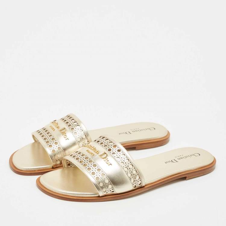 Dior D-line slides