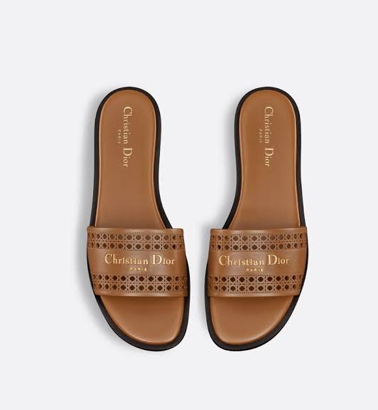 Dior D-line slides