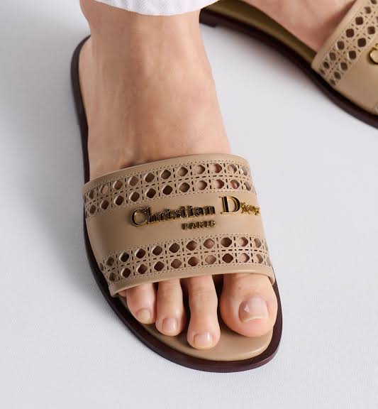 Dior D-line slides