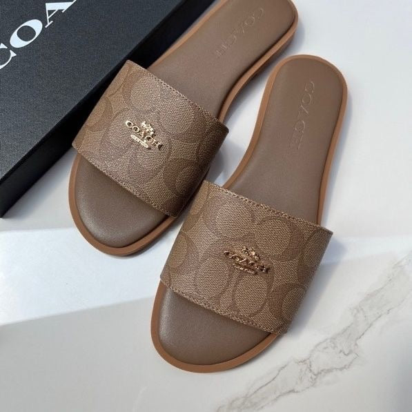 Coach Slides