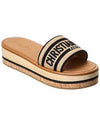 CD Dway Platform slides