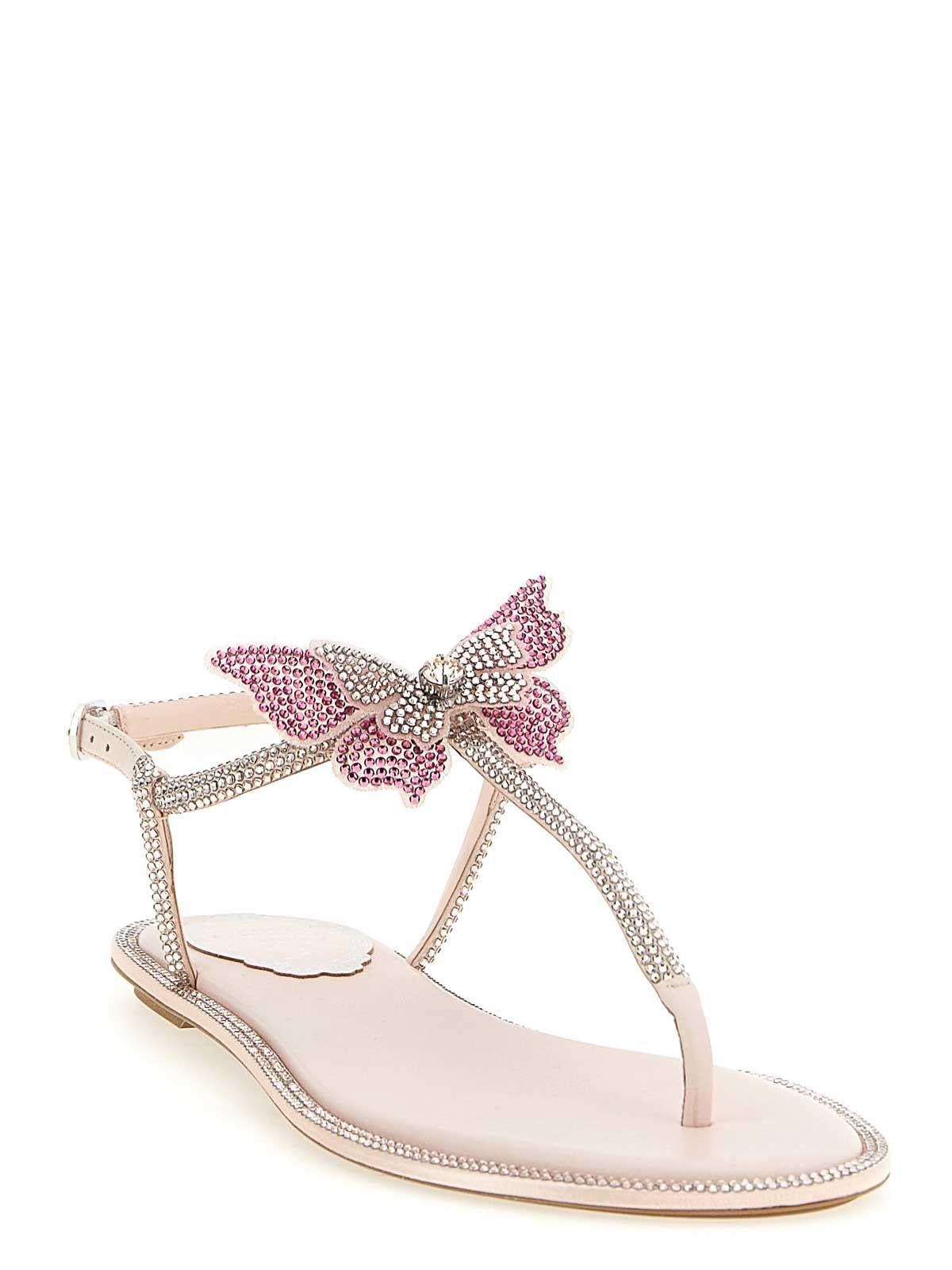 Rene caovilla Fairy sandal