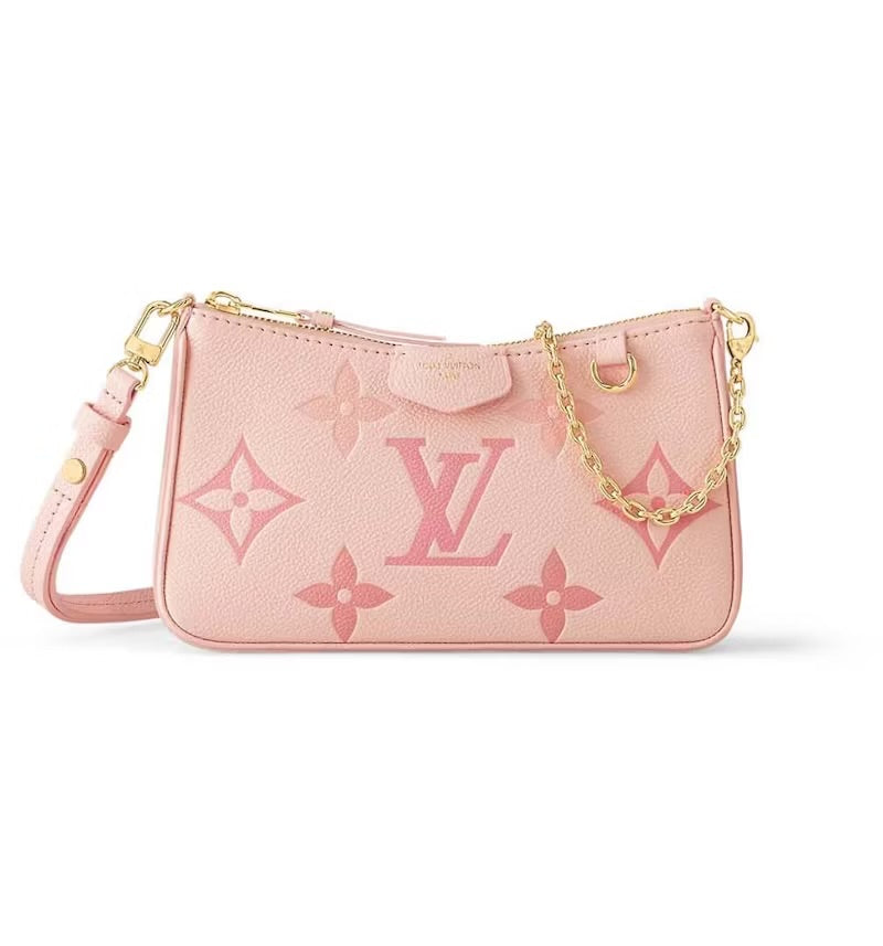 Louis Vuitton easy pouch
