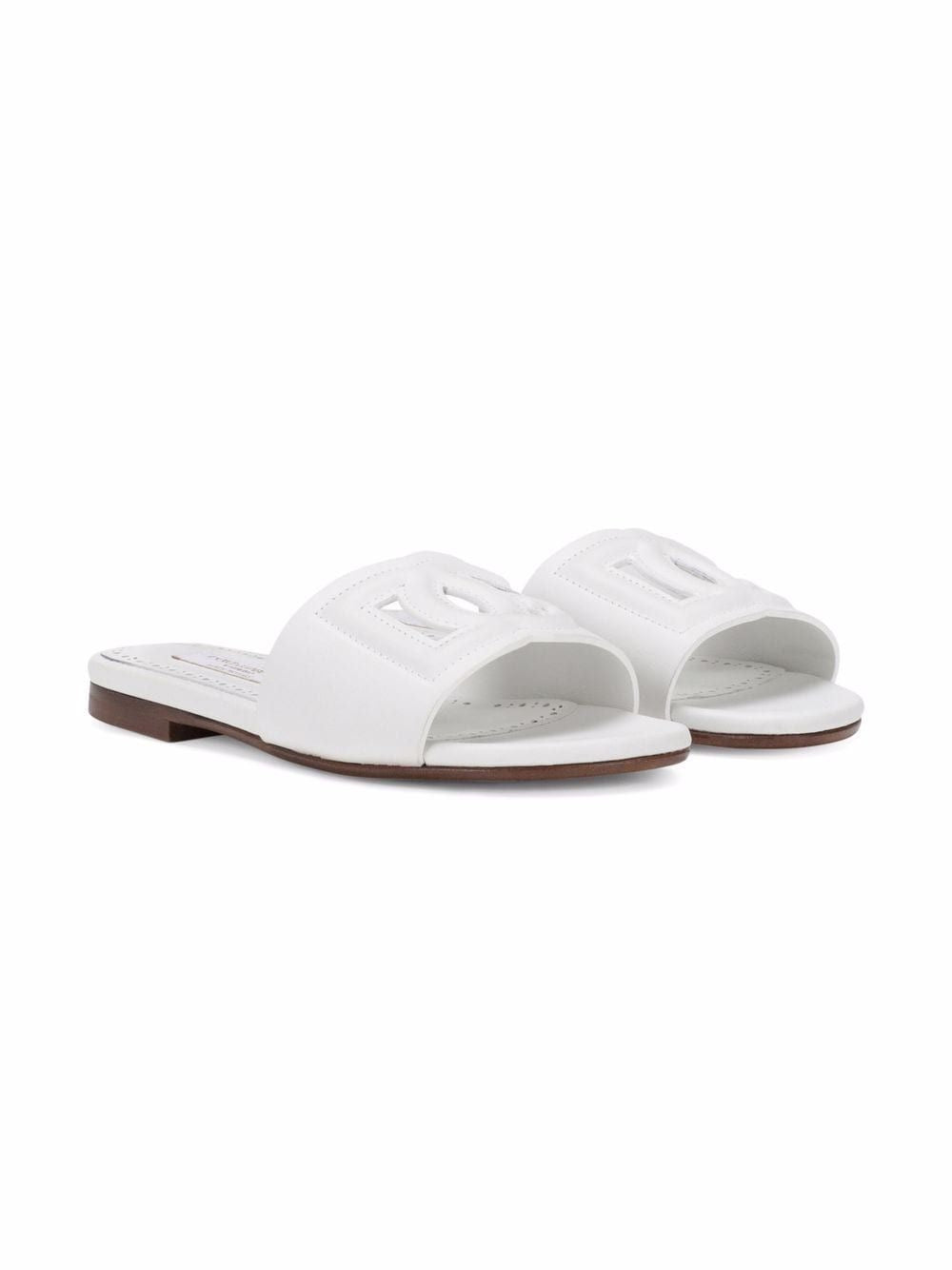 D&G slides